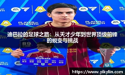 易彩堂官方网站